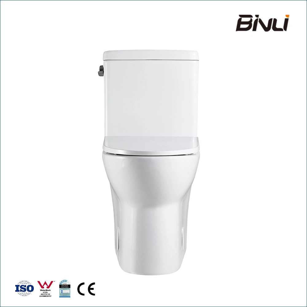 Toilet Manufacturering Moulds New Design Ceramic Bathroom Washdown Sanitary Ware Two Piece Wc Toilet