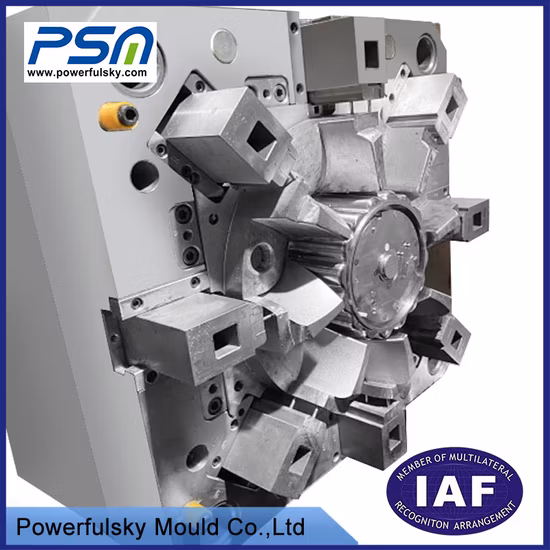 Custom Plastic Injection Mold with PP PA PE PS PC POM PA6 Mold for Automotive/Medical/Furniture/Vehicle/Oven/Water Heater/Thermometer/Dust Catcher/Curtain Hook