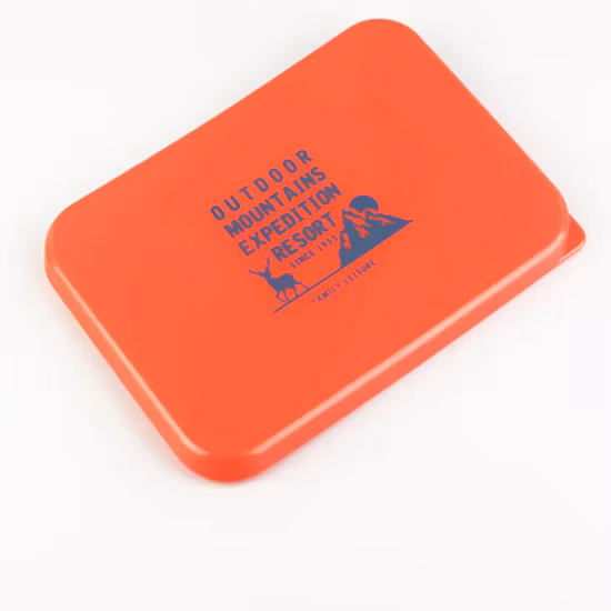 Professional High Quality Custom Molded Plastic Tray Molds